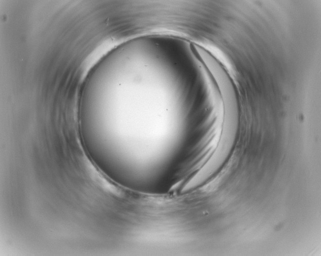 X0000088130910200705291330