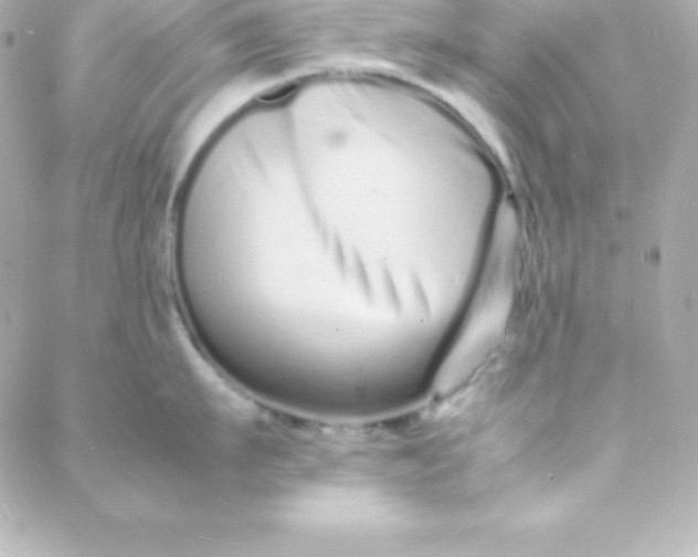 X0000088130911200705291330