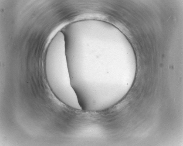 X0000088130912200705291330