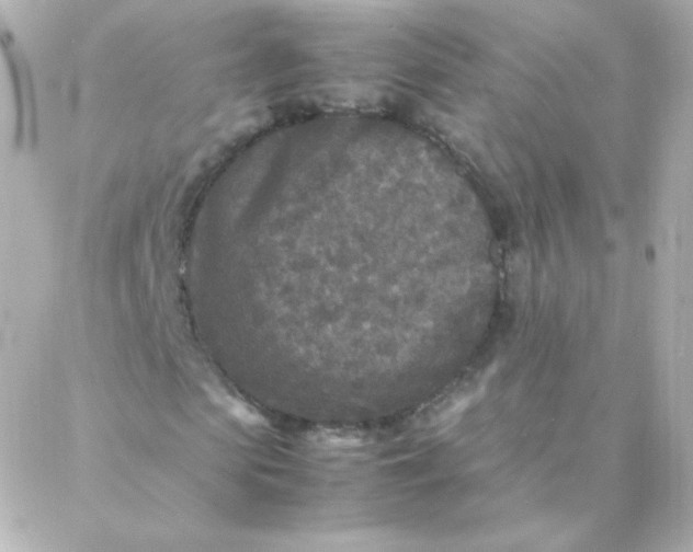 X0000088130913200705291329