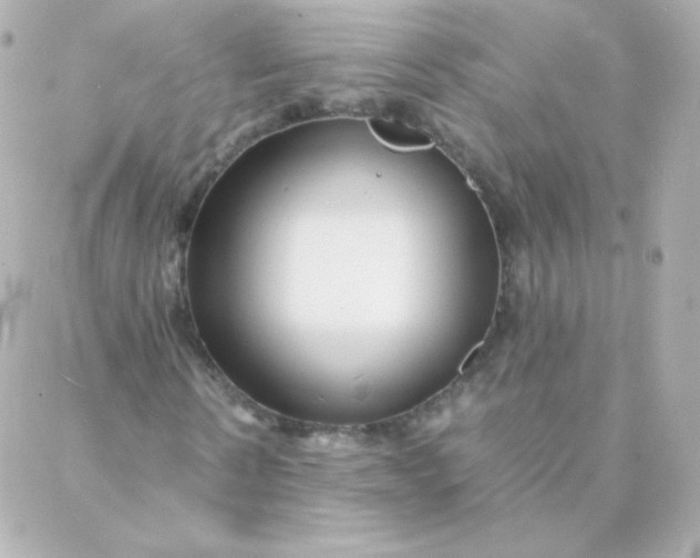 X0000088130914200705291329