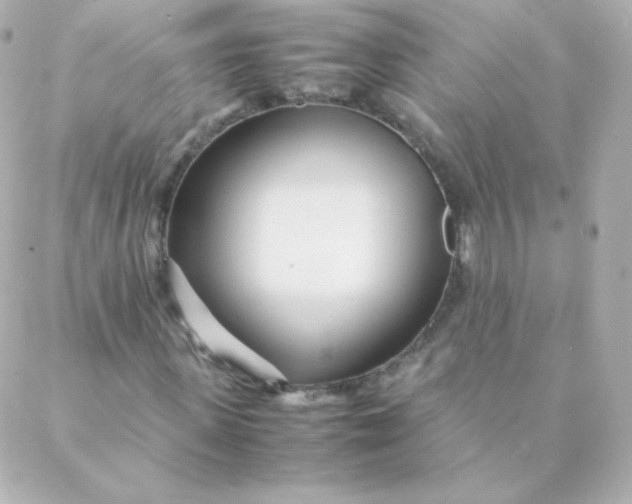 X0000088130915200705291329