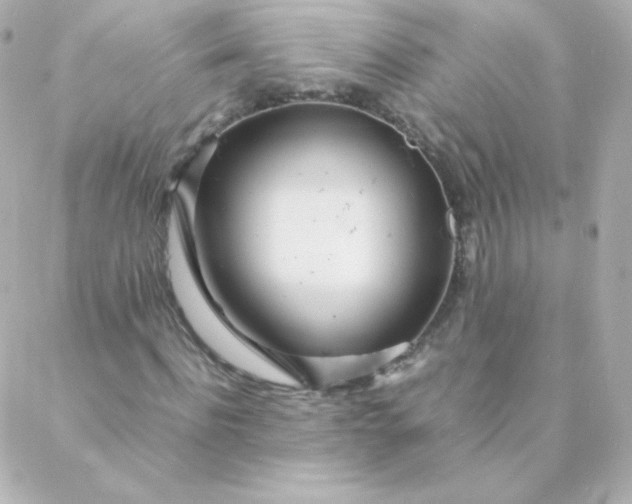 X0000088130916200705291329