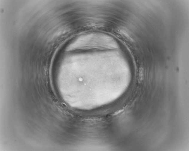 X0000088130917200705291329