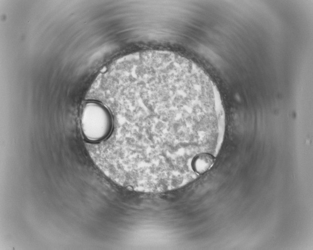 X0000088130918200705291329