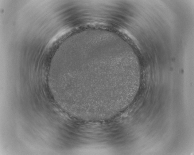 X0000088130919200705291329