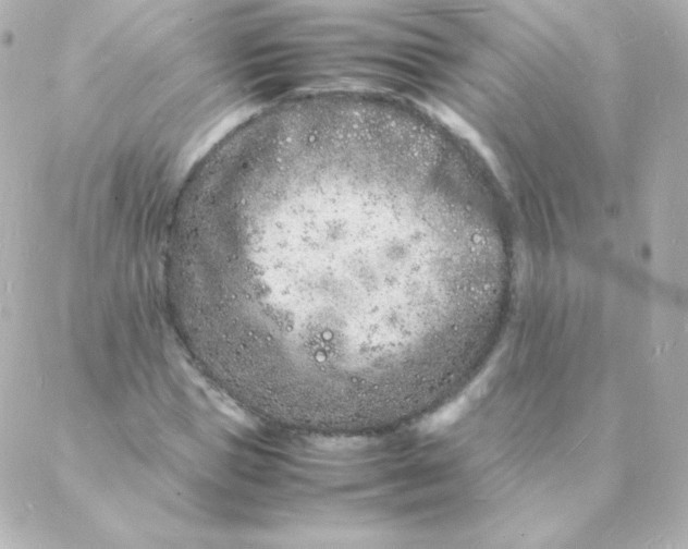 X0000088130921200705291329