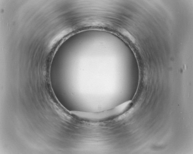 X0000088130922200705291329