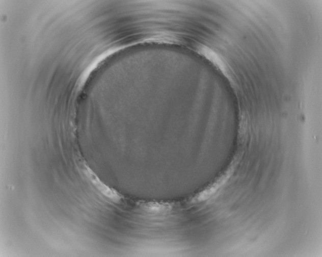 X0000088130923200705291329