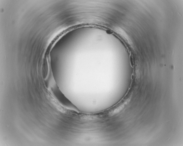 X0000088130924200705291329