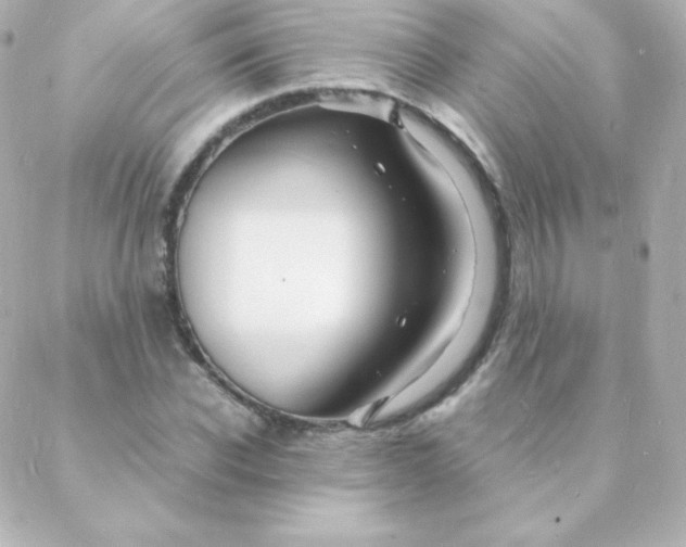 X0000088130926200705291329