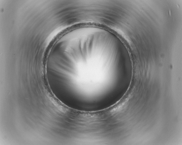 X0000088130927200705291329