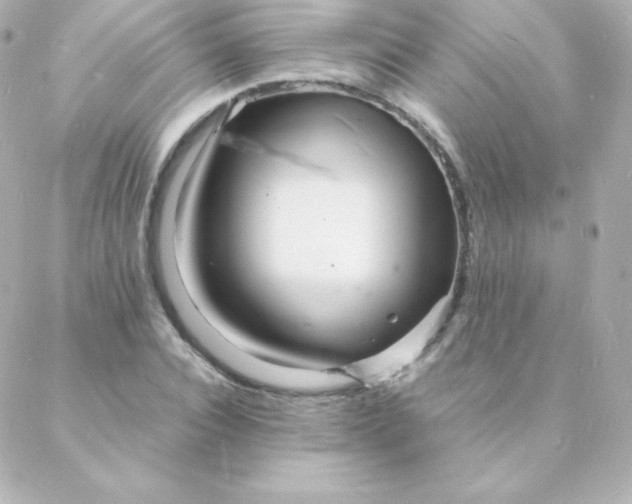 X0000088130928200705291329