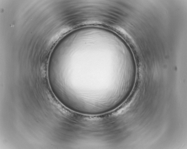 X0000088130929200705291329