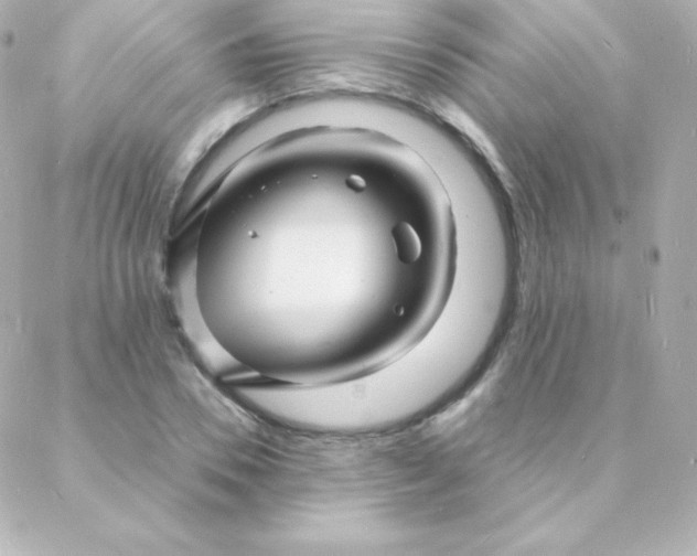 X0000088130930200705291329