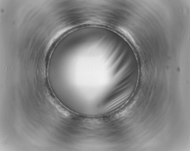 X0000088130931200705291329