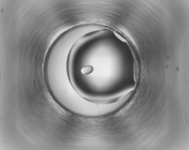 X0000088130932200705291329