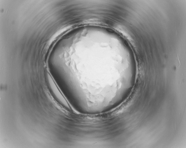 X0000088130933200705291329