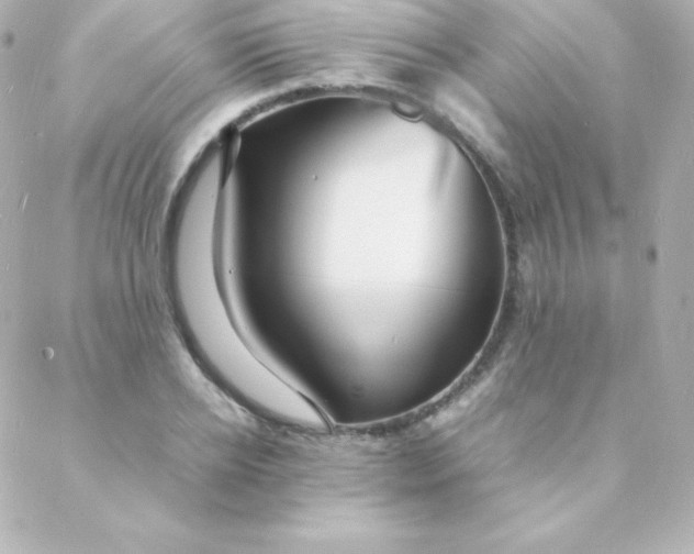 X0000088130934200705291329