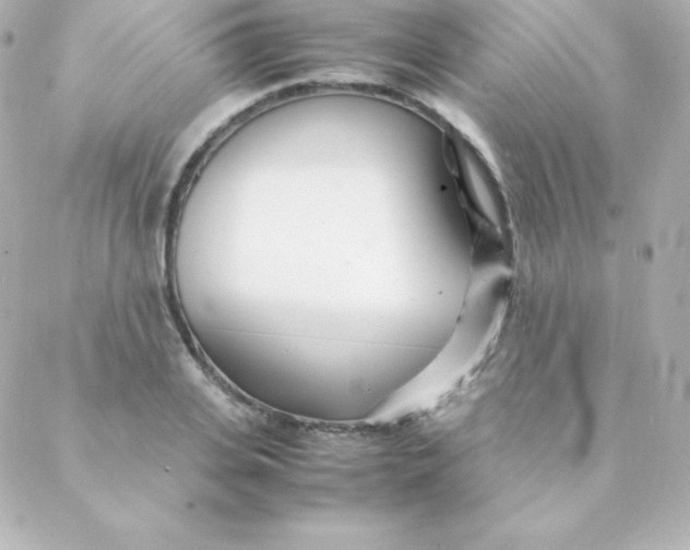 X0000088130935200705291329