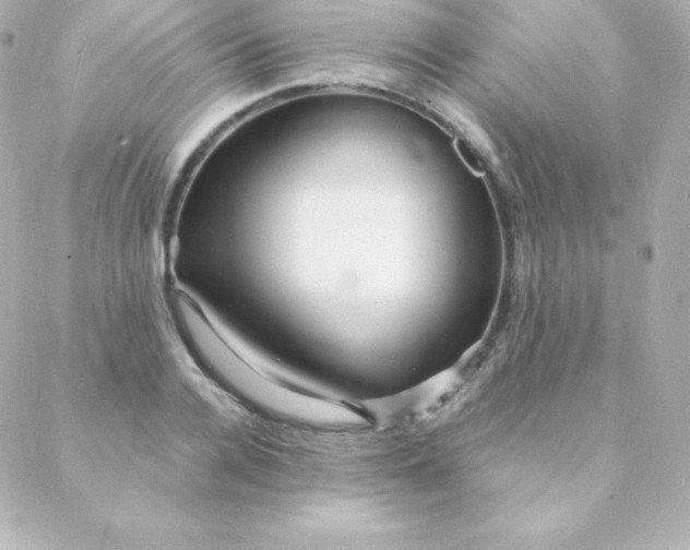 X0000088130936200705291329