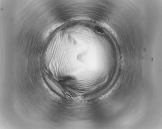 X0000088130937200705291329