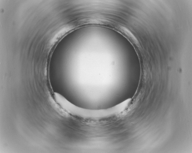 X0000088130938200705291329