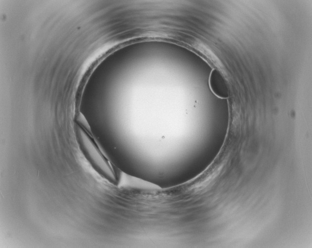 X0000088130939200705291329