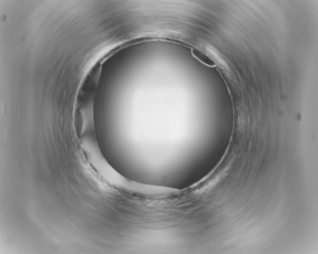 X0000088130940200705291329