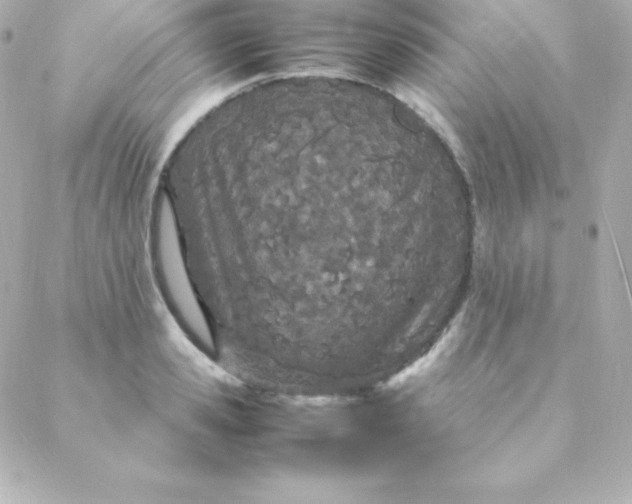 X0000088130941200705291329