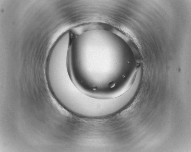 X0000088130942200705291329