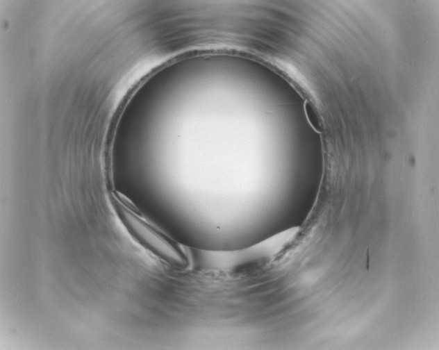 X0000088130943200705291329