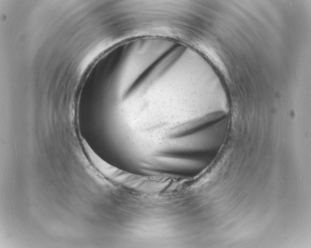 X0000088130944200705291329