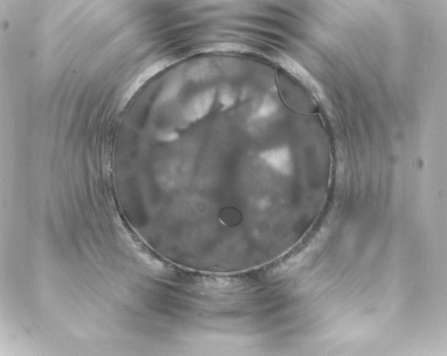 X0000088130945200705291329