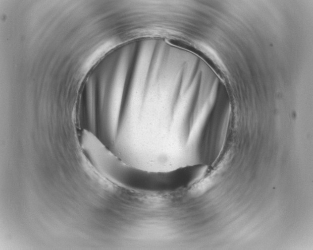 X0000088130946200705291329