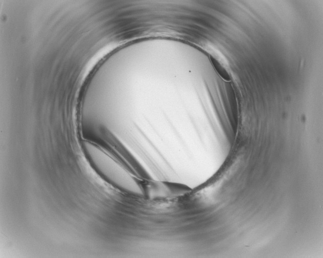 X0000088130947200705291329