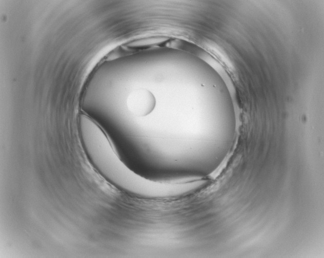 X0000088130948200705291329