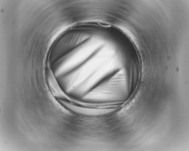 X0000088130949200705291329