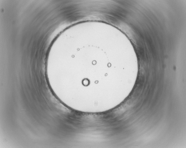 X0000088130950200705291329