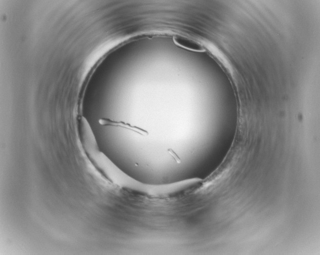 X0000088130951200705291329