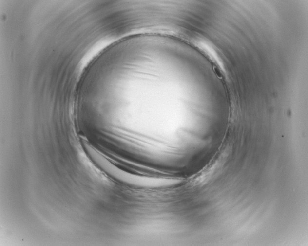 X0000088130952200705291329