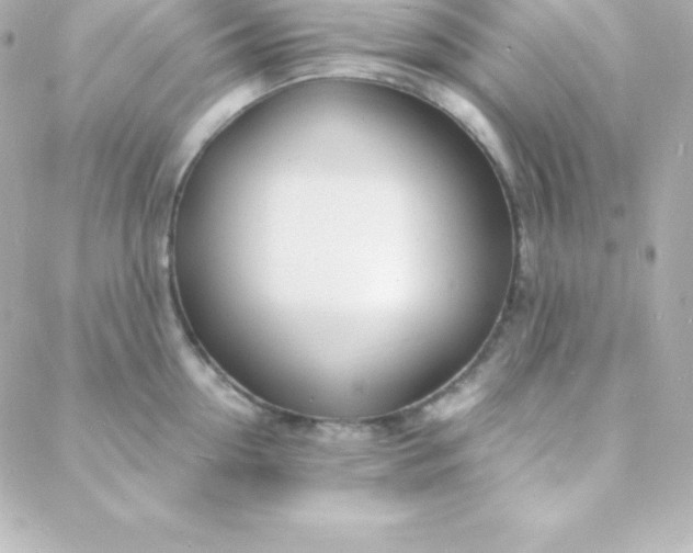 X0000088130954200705291329