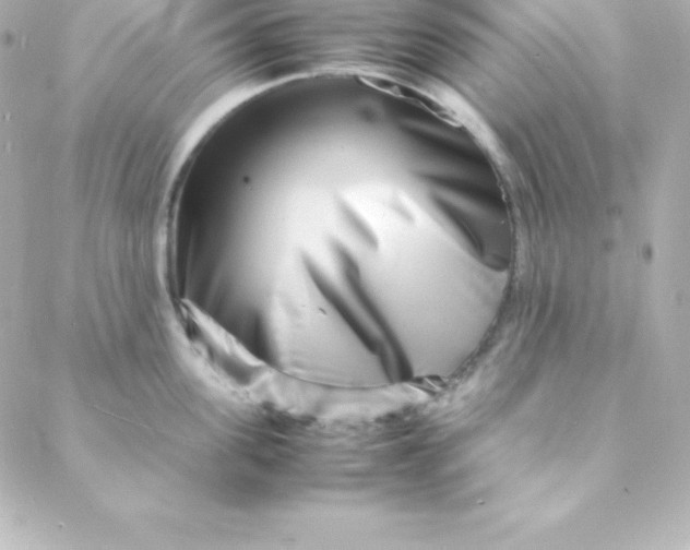 X0000088130955200705291330