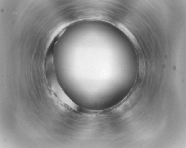 X0000088130956200705291330