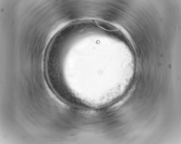 X0000088130957200705291330