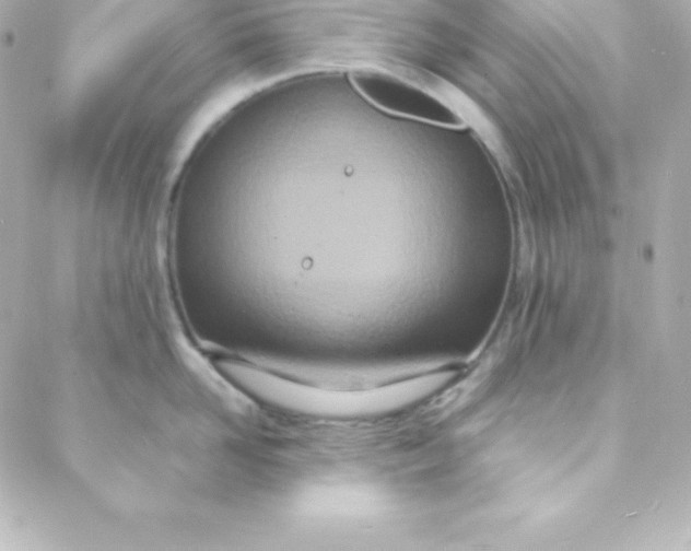 X0000088130958200705291330