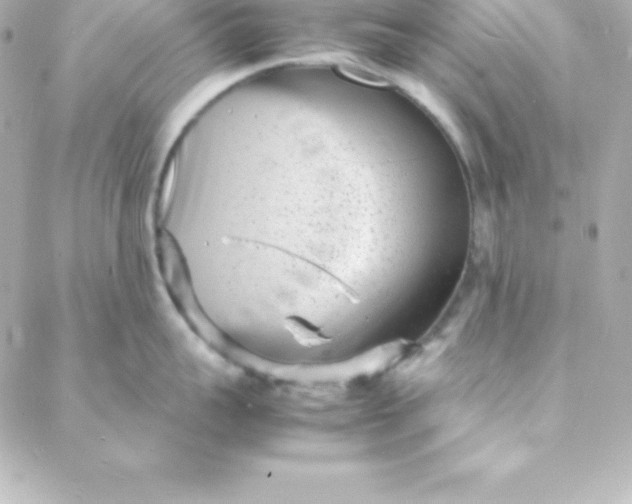 X0000088130959200705291330