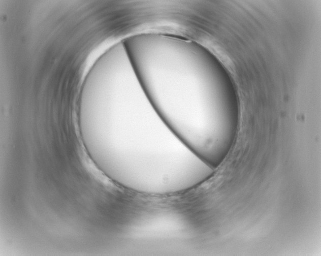 X0000088130960200705291330