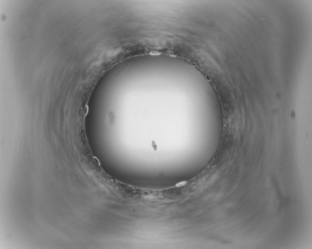 X0000088130961200705291329