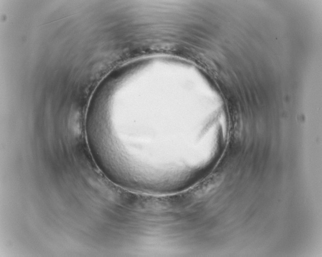 X0000088130962200705291329